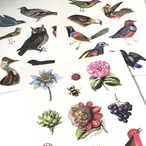 BIRDS NATURE Stickers Bird Theme Journals Craft